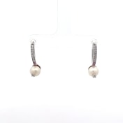 The Aelora Hook Earrings - thumb 1