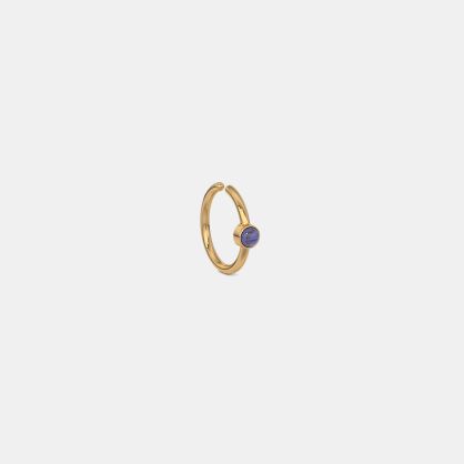 The Ates Nose Ring
