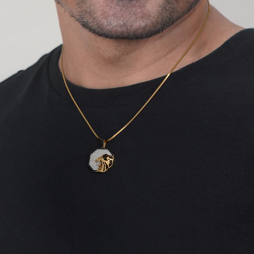 The Darkroar Pendant - image 3