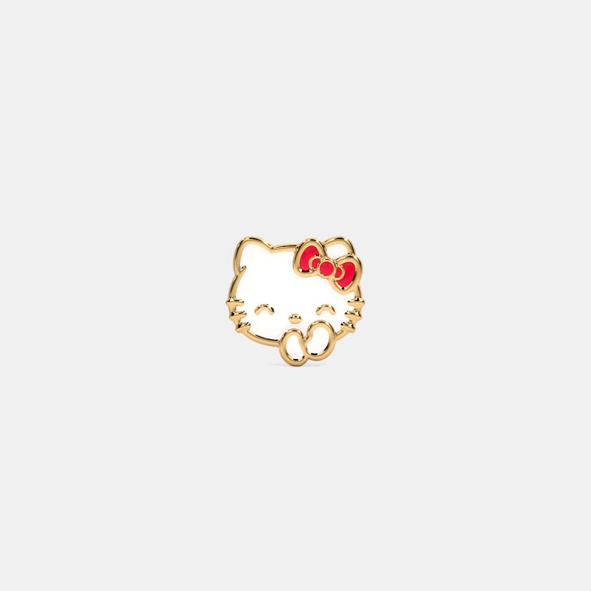 The Spayed Watch Pin - image 5