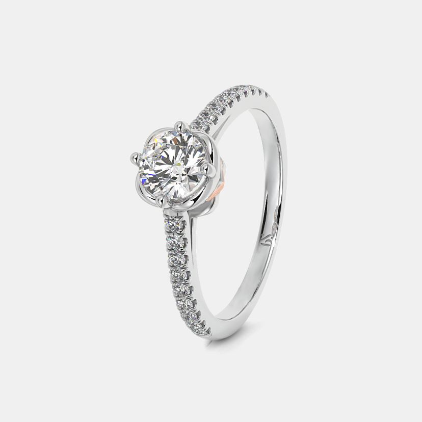 The Atlanta Ring - image 1