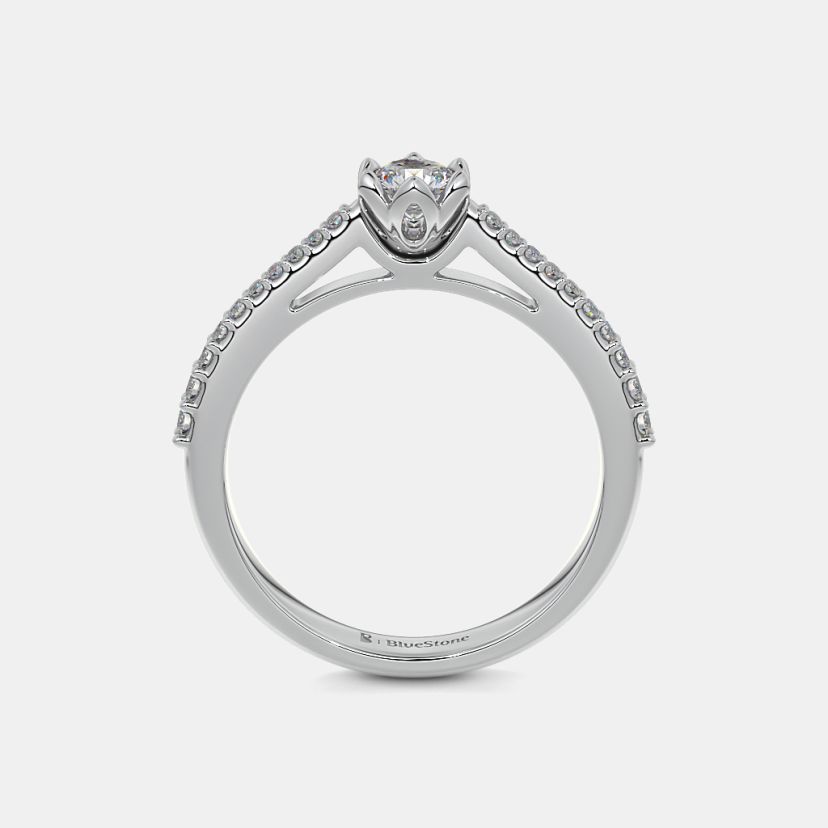 The Honorary Ring - image 8