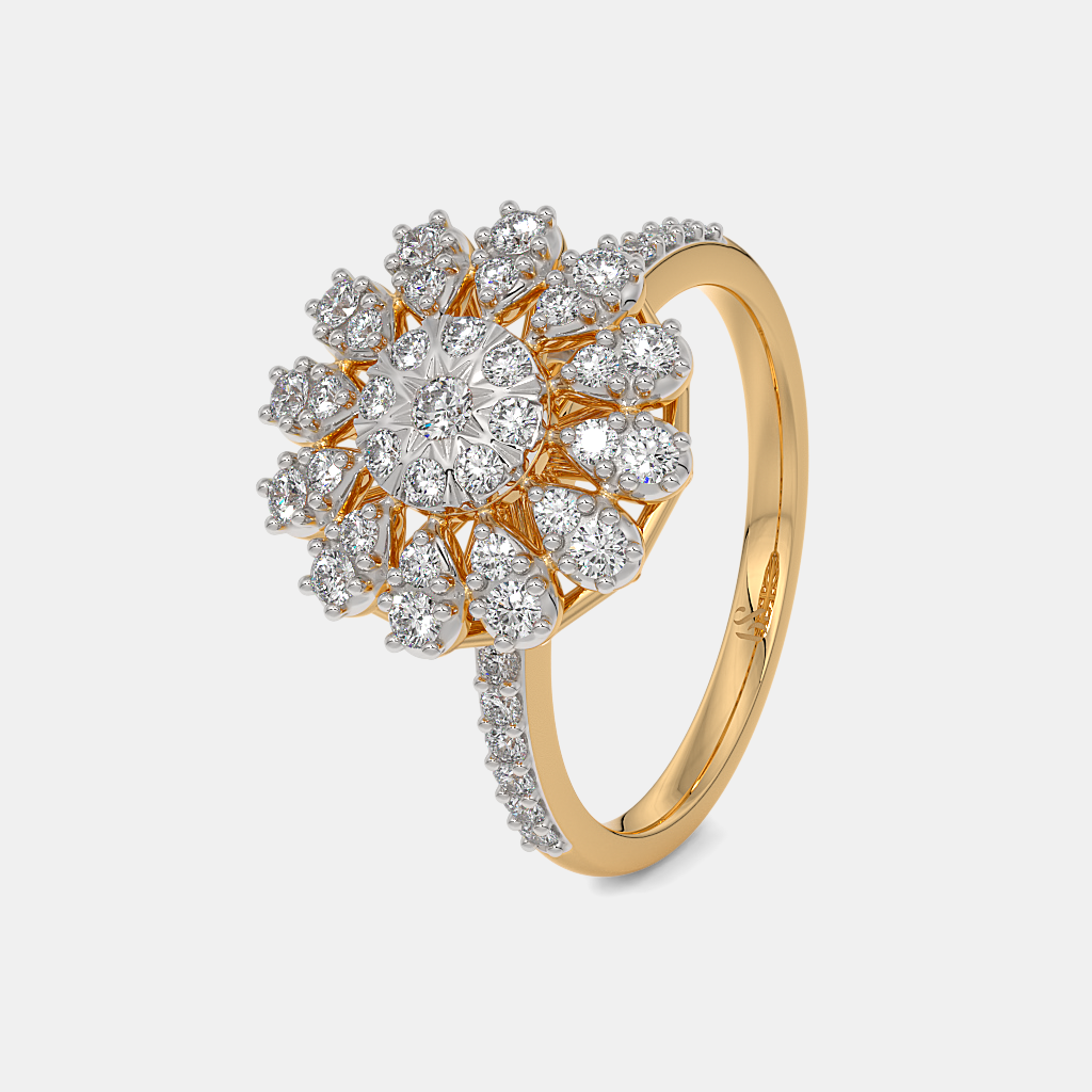 The Zveda Cluster Ring alternate view 1