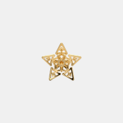 The Floral Star Stud Earrings - thumb 7